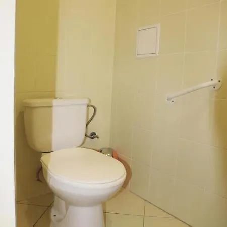 Διαμέρισμα V Centre S Garazovym Statim Πιεστάνυ